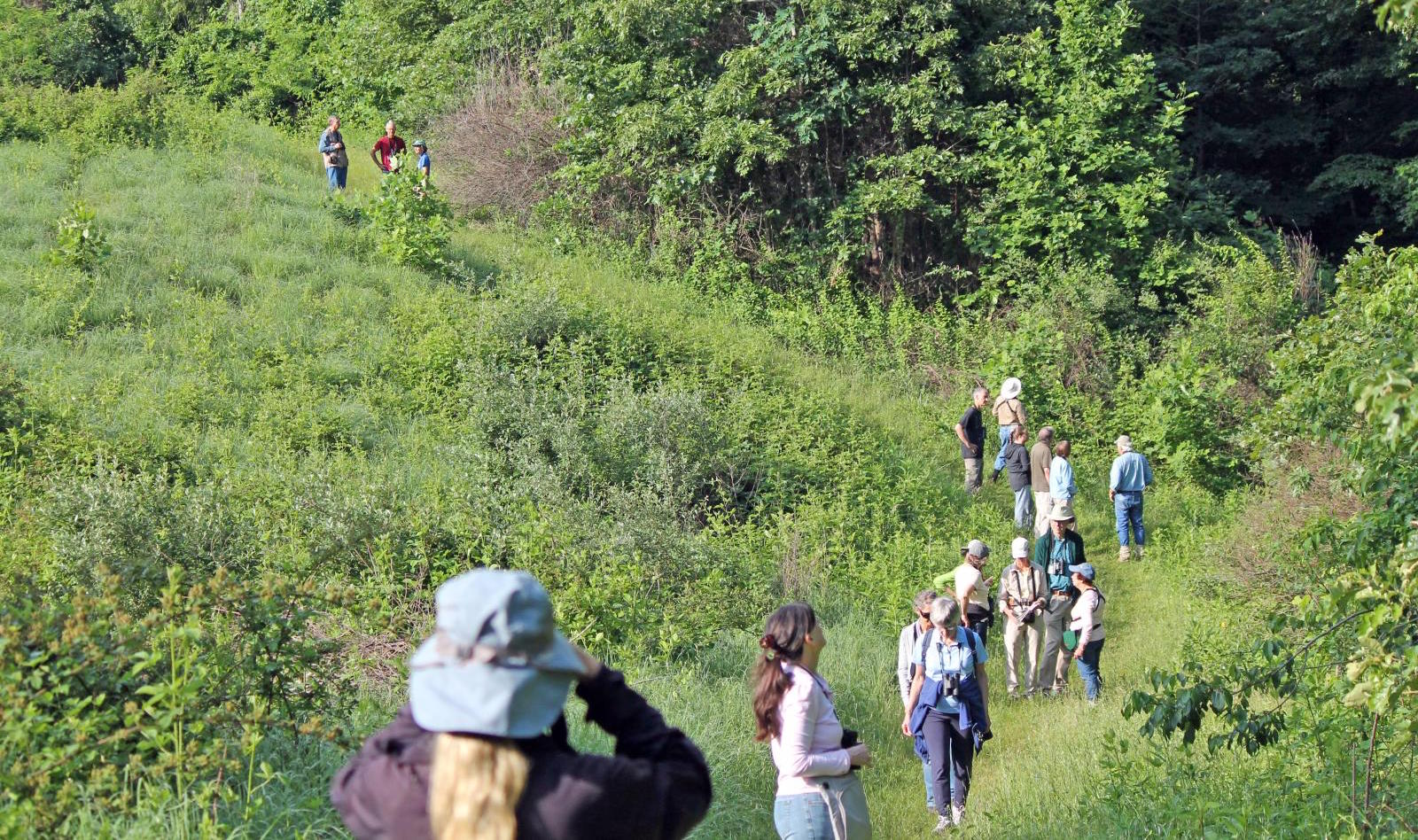 First Saturday morning birders