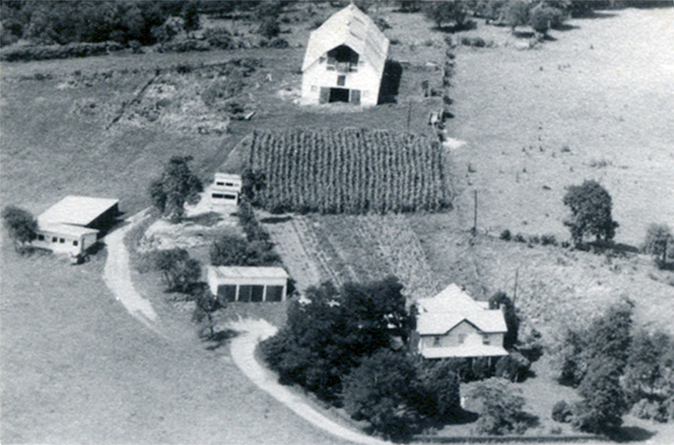 Riverview Farm